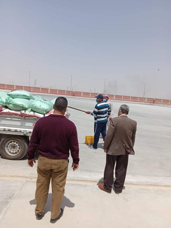 received_3981394371908803