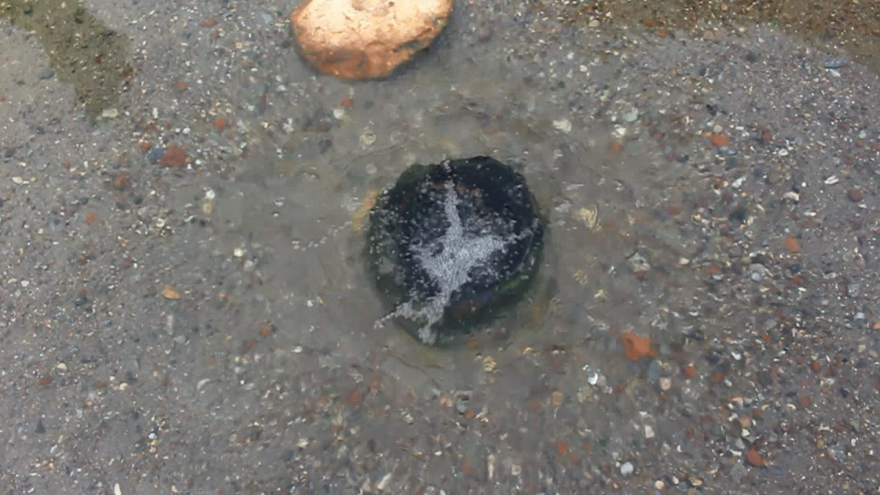 MVI_9687[00_00_01][20210506-132736-2]