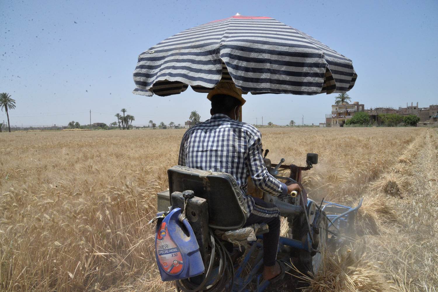 محافظ أسيوط يتفقد حصاد محصول القمح بأحد الحقول التي تطبق نظام الري الحديث بصدفا (2)