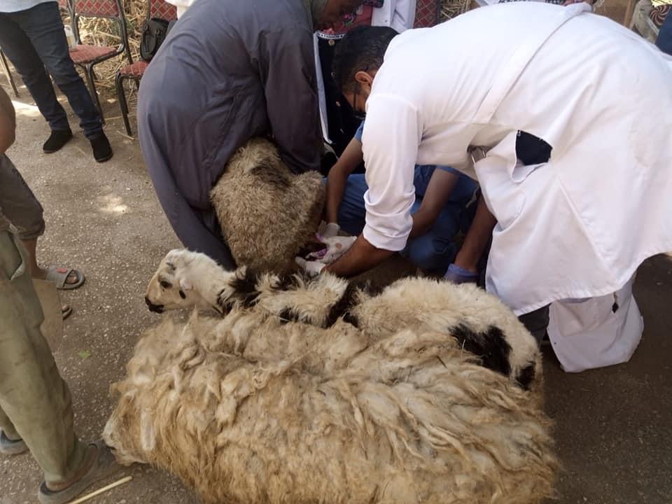 A8CCFBEF-7A33-4B51-8CBC-6C662B23DEAC