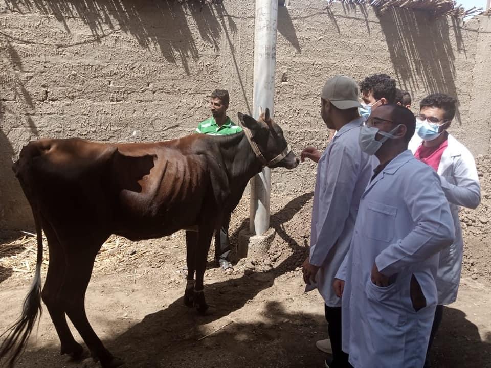 AD55D9D4-E759-4F86-8CB0-47D8F0921DA4