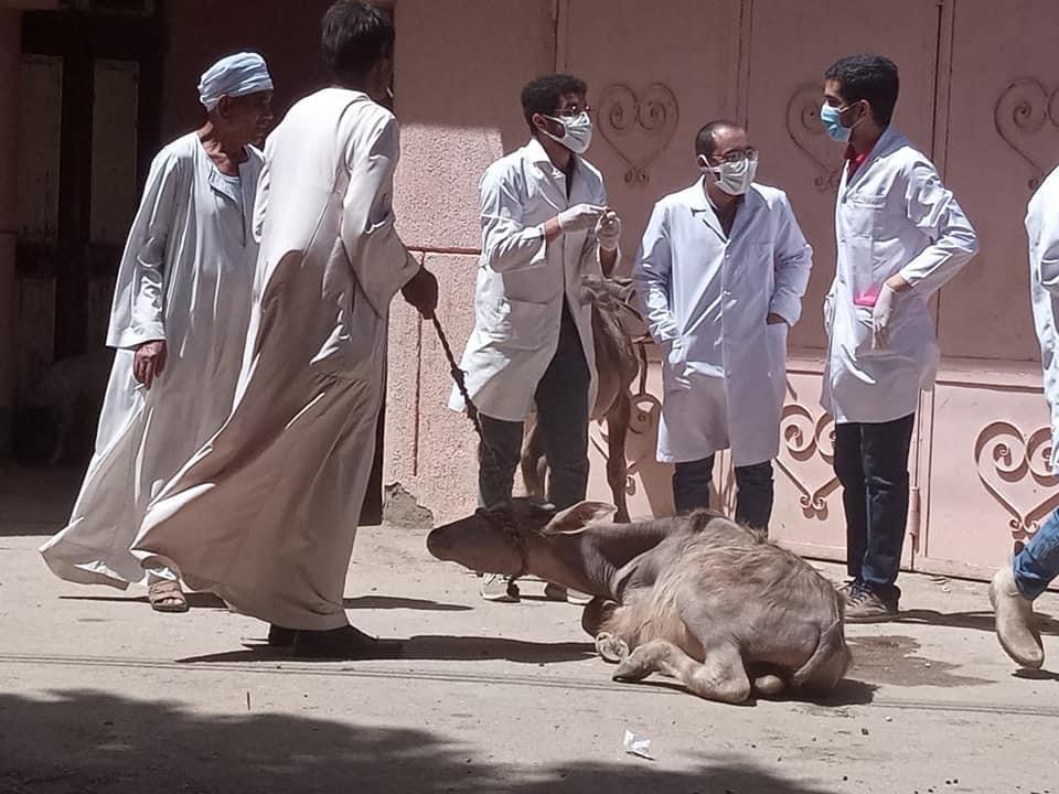 705FB3FC-3208-4712-BF51-1A0E40423F0E