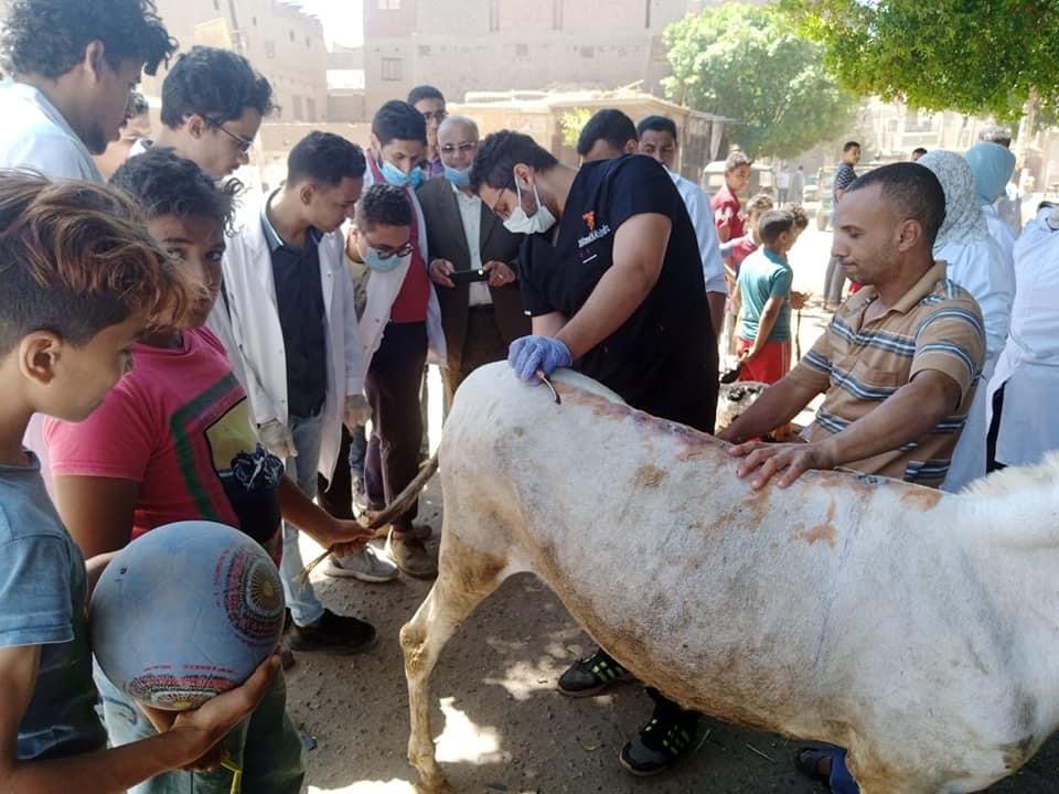 9AC0309B-34FC-4AE4-A31A-64662E6BF225