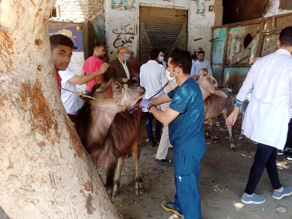 17042CD7-E1DF-4841-8783-071B20401DB8