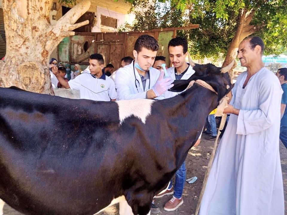 0561605B-FF01-400C-8A08-AC4C69370AB5