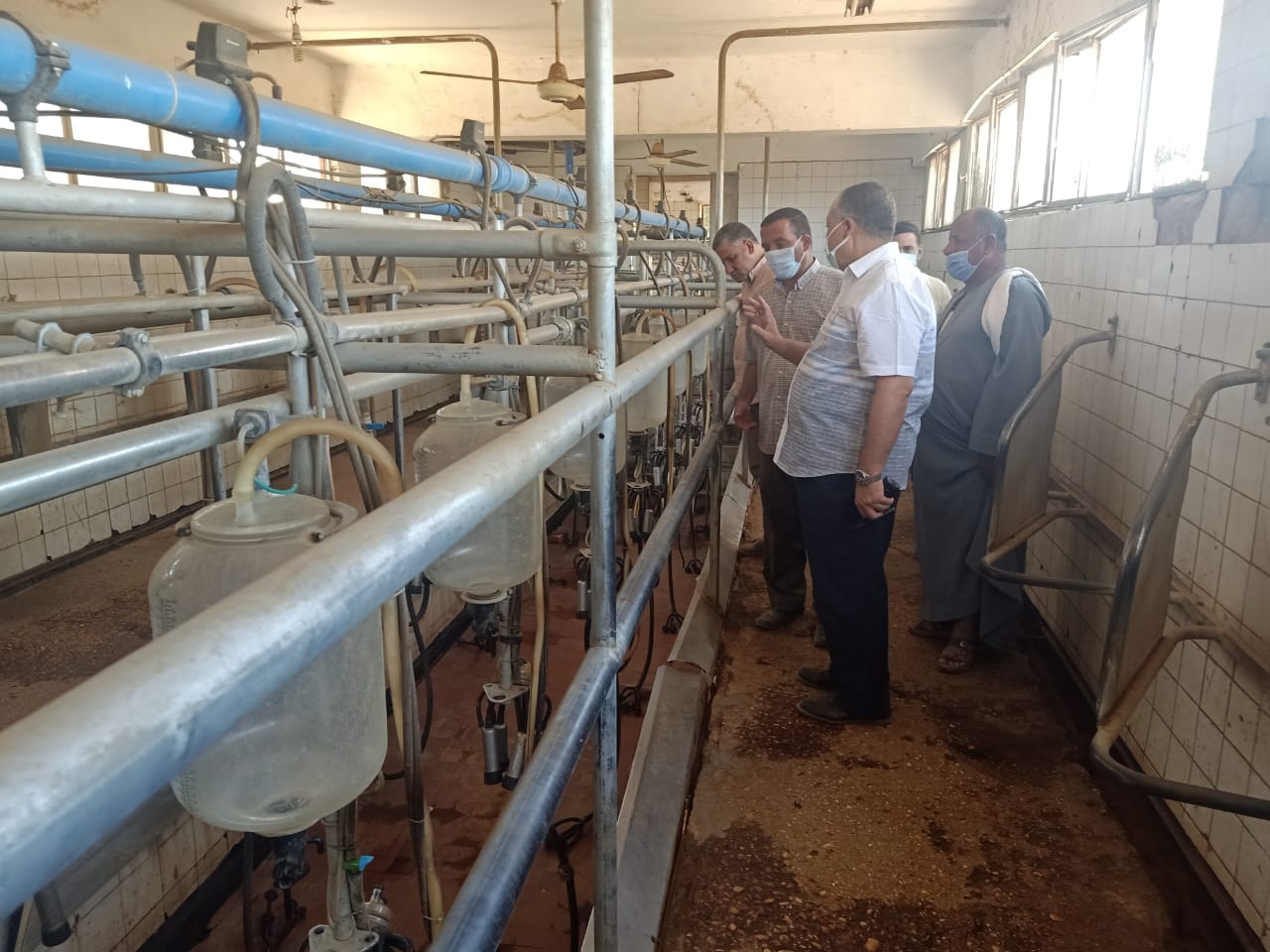 السكرتير المساعد يتفقد مشروع الثروة الحيوانية بأبنوب والفتح (11)