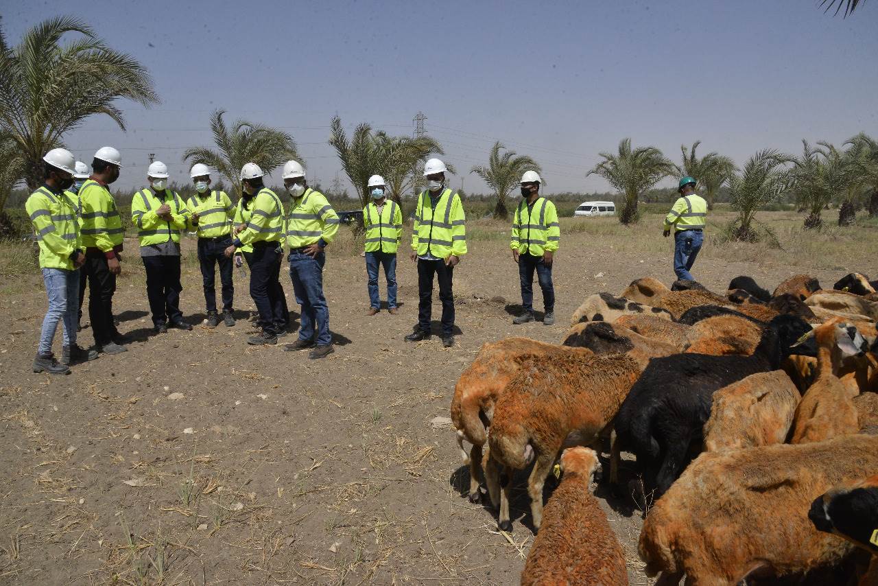 محافظ أسيوط  ورئيس سيمكس يتفقدان مزرعة الشركة والمدينة الرياضية (9)