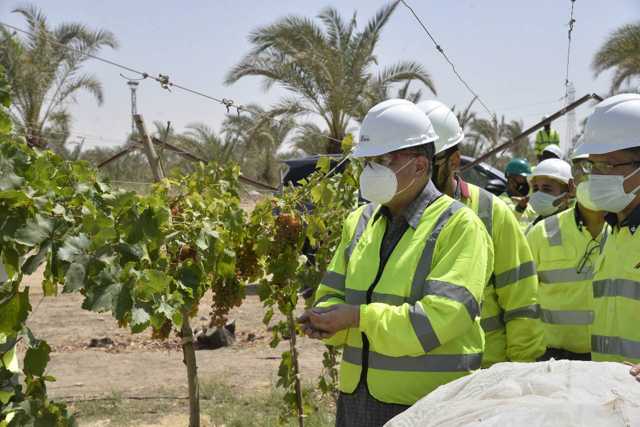 محافظ أسيوط  ورئيس سيمكس يتفقدان مزرعة الشركة والمدينة الرياضية (3)