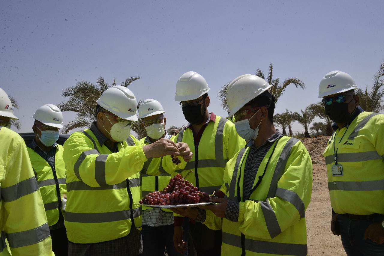محافظ أسيوط  ورئيس سيمكس يتفقدان مزرعة الشركة والمدينة الرياضية (2)