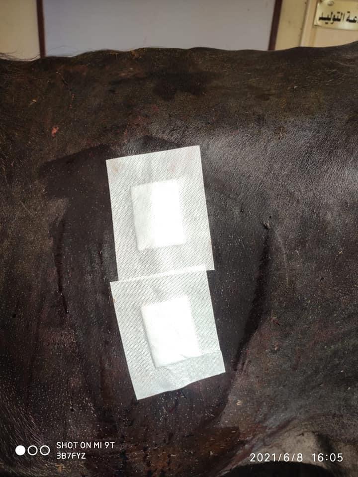 274BF44D-A386-4D95-BFE7-9F36401928F4