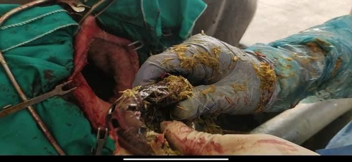 34F43606-5D73-4AF1-BEF5-1F065E32E890