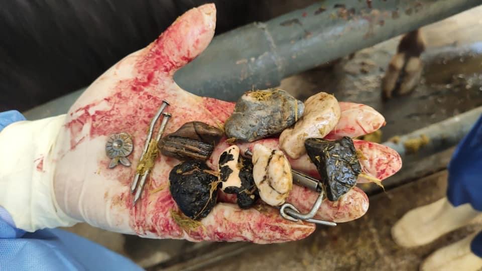 A236D758-62ED-487E-B277-D2770779D760