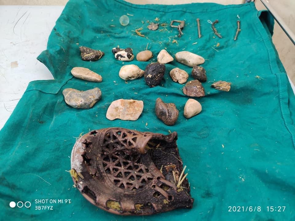 02132589-960D-4DCA-9C96-510D4CC18769