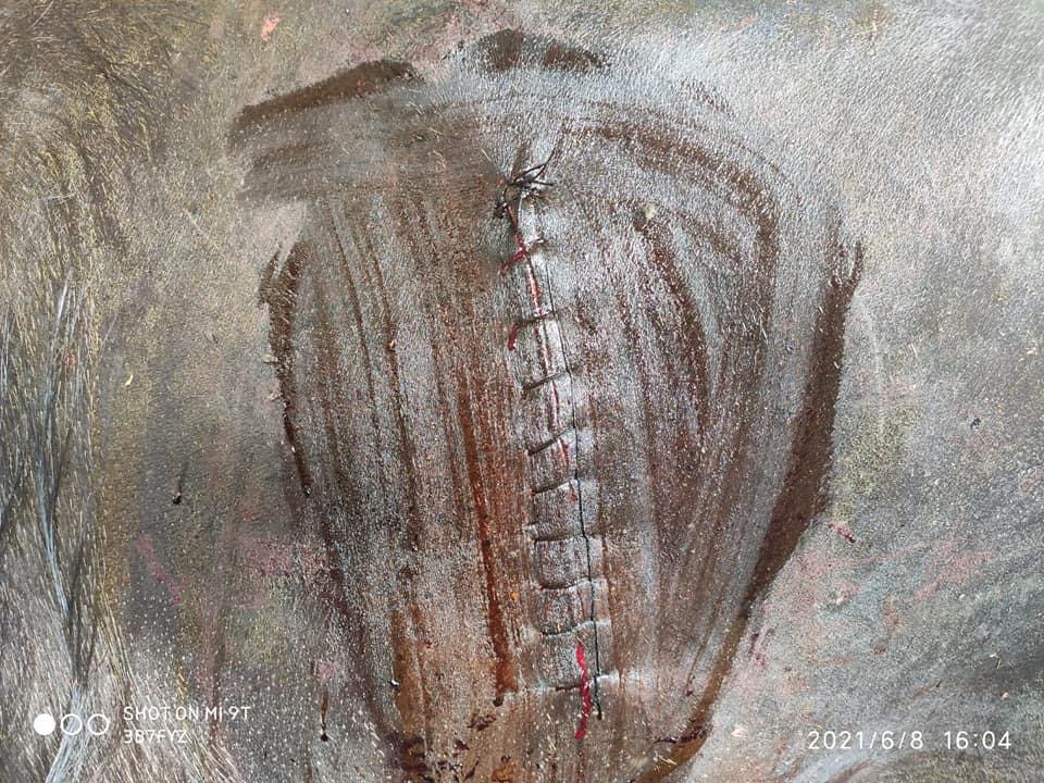 4470F05C-93CE-4E14-8D0C-7E04A4E3BBB9