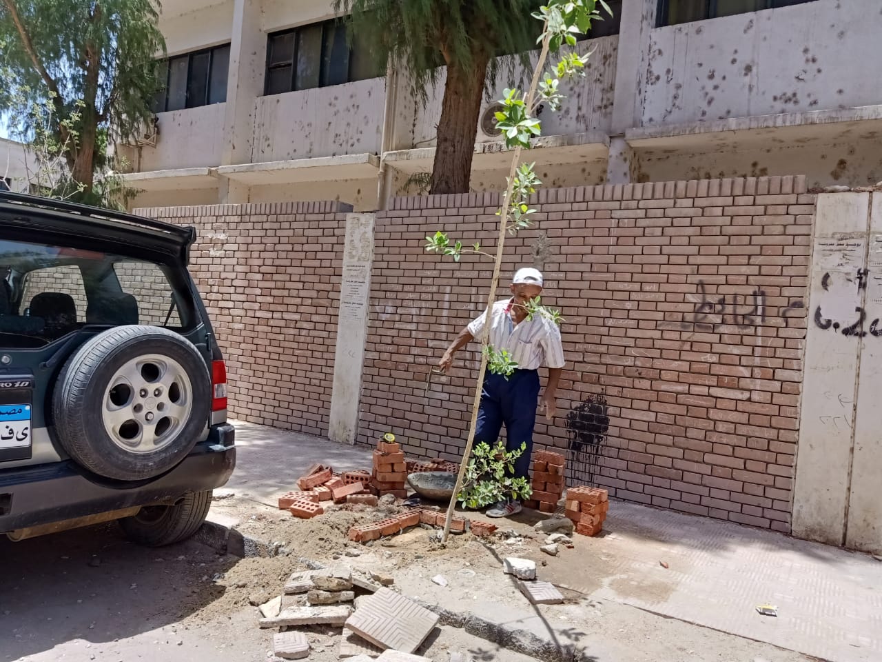 حملات تشجير وتوعية (8)