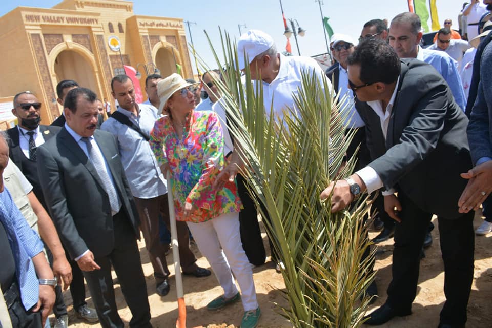 وزيرة البيئة ومحافظ الوادي الجديد يطلقان مبادرة زراعة ١٠٠٠ شجرة مثمرة  (4)