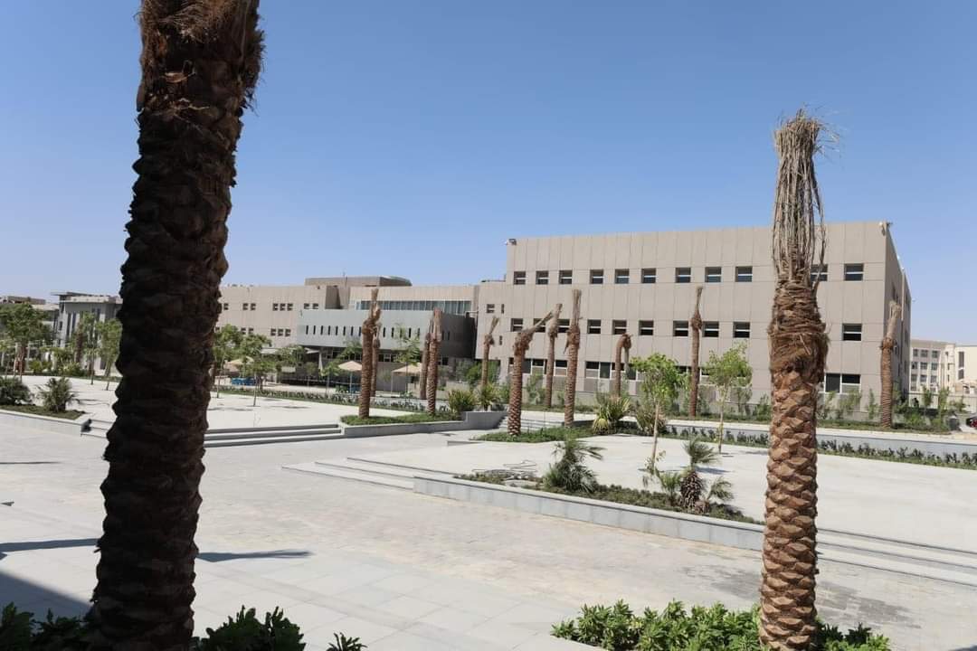 FB_IMG_1662820786224