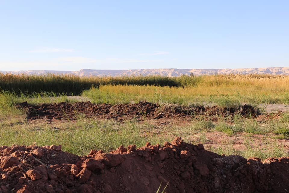 محافظ الوادي الجديد يتفقد بركة صرف بلاط (1)