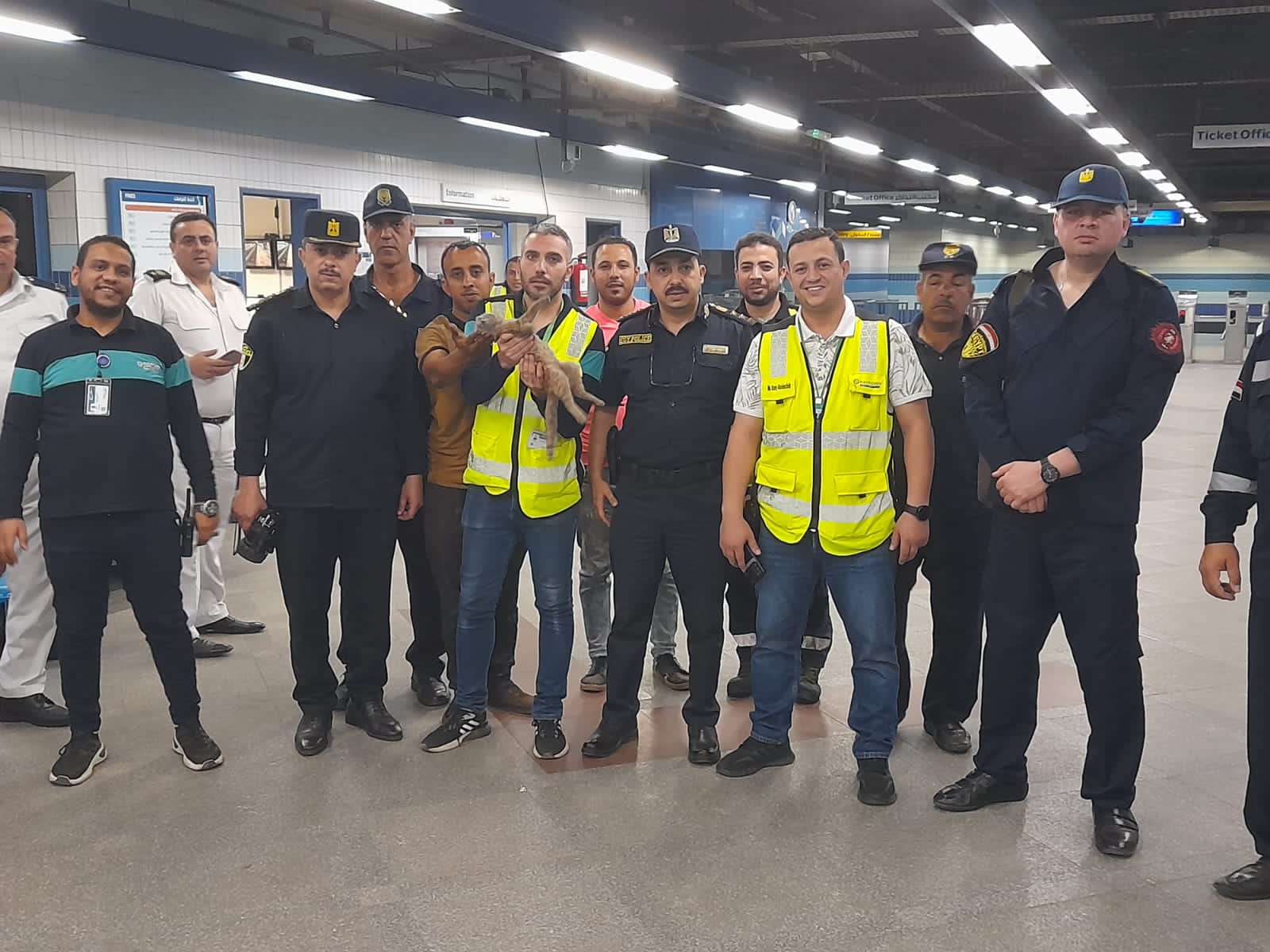 156076-انقاذ-قطة-من-الموت-على-قضبان-المترو-(2)