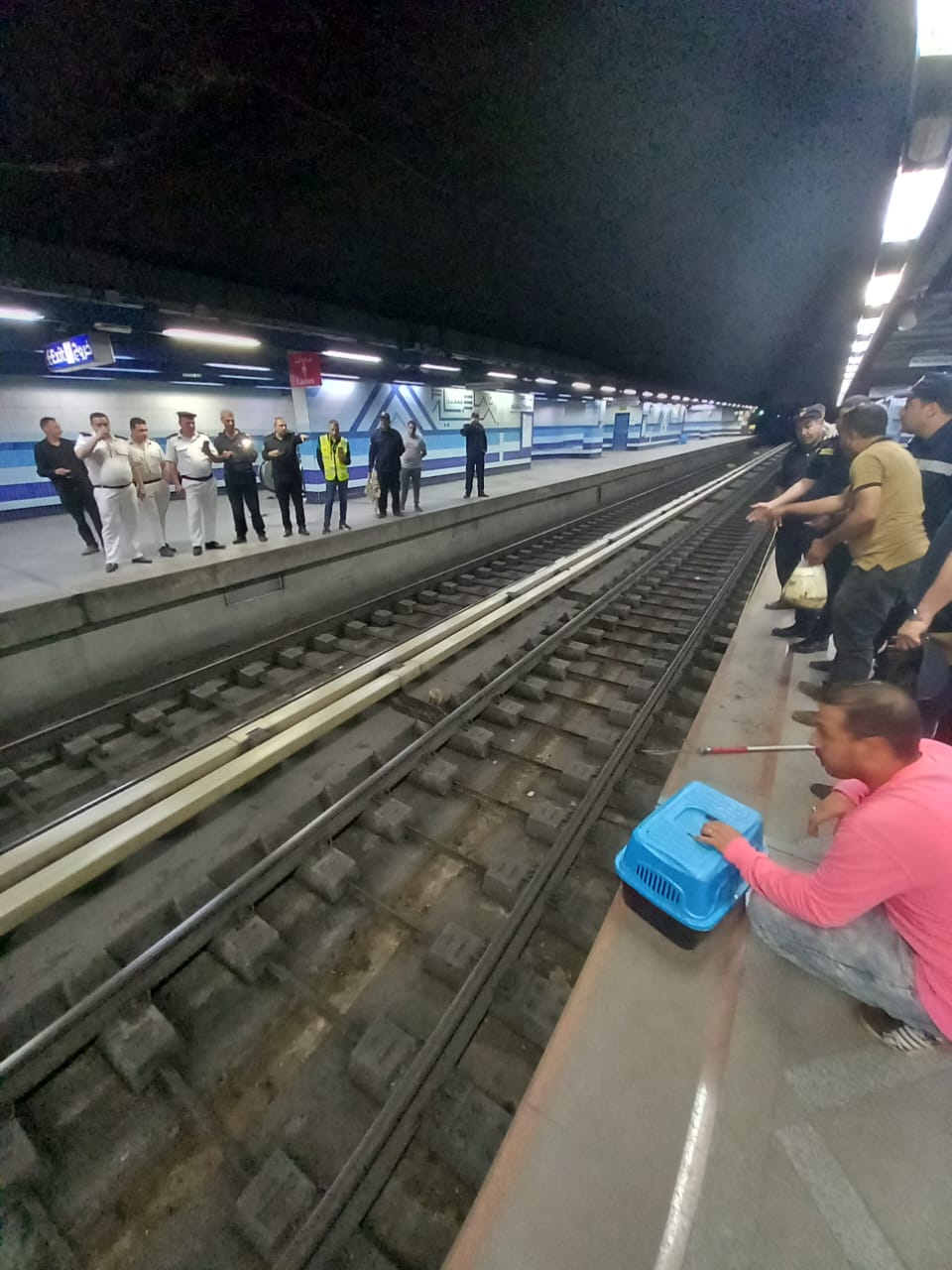 132298-انقاذ-قطة-من-الموت-على-قضبان-المترو-(1)