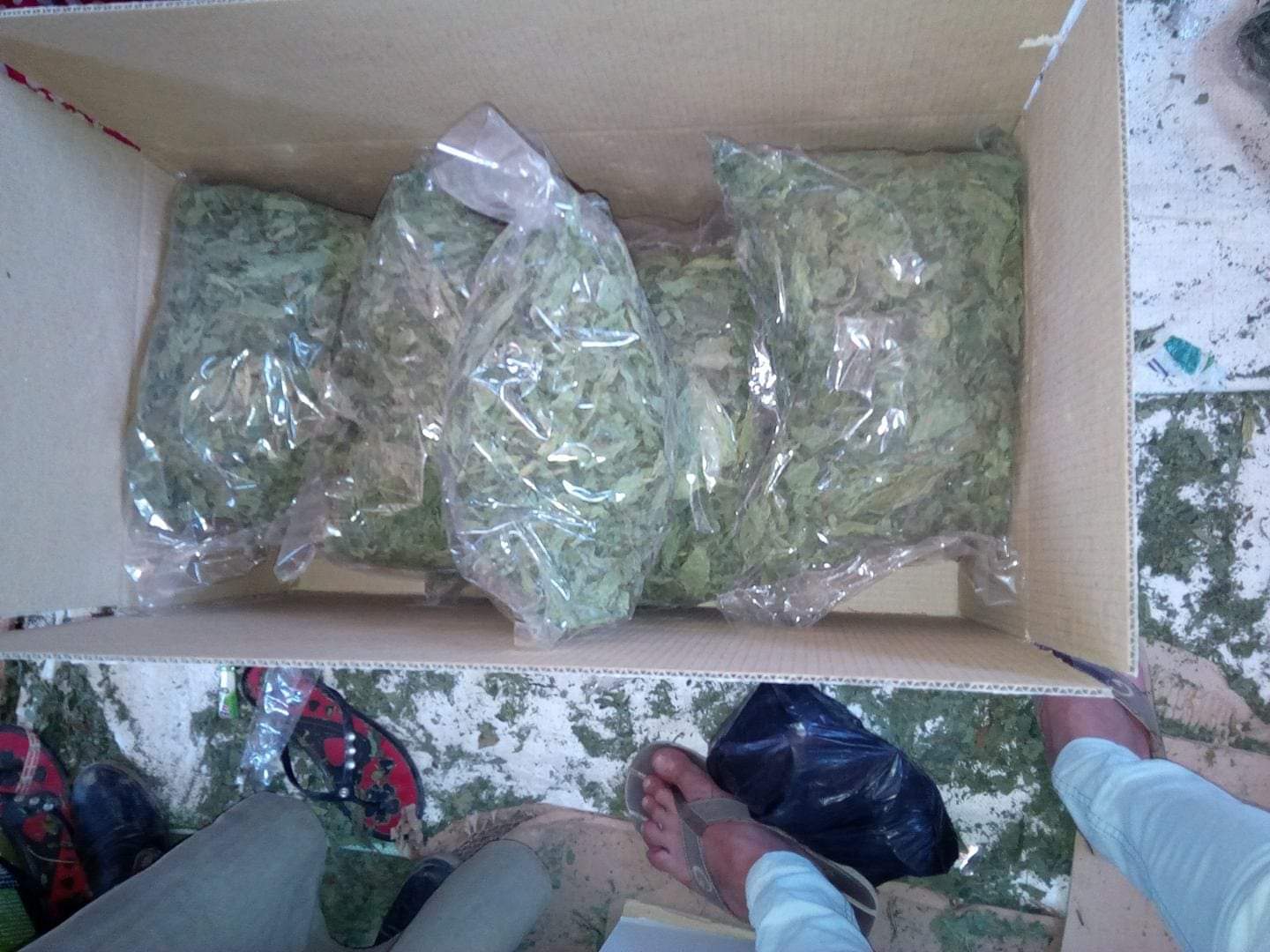 FB_IMG_1692028038354