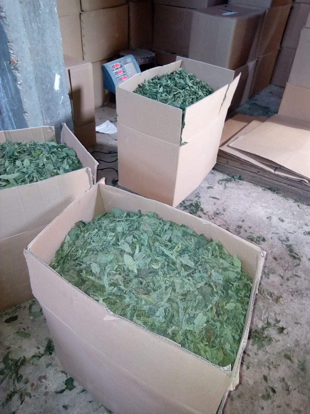 FB_IMG_1692028041948