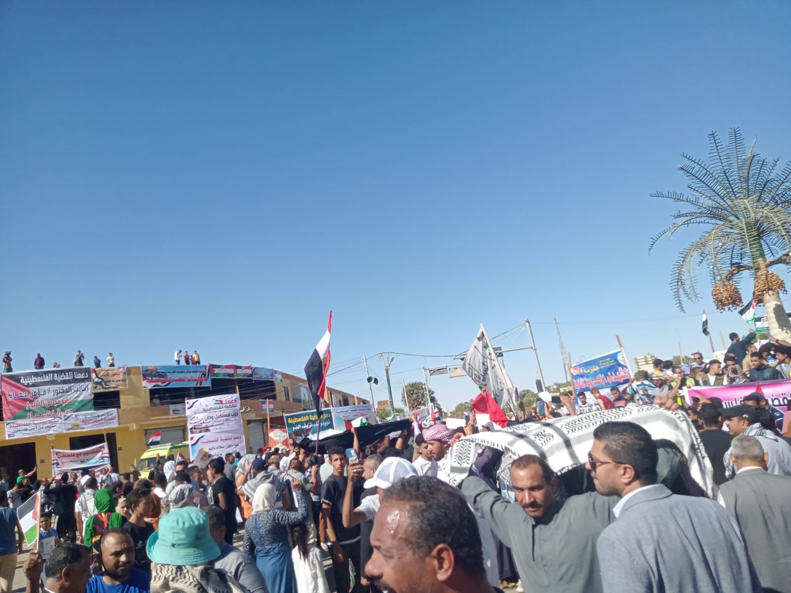 الالاف يتظاهرون ضد الاعتداءات الاسرائيلية في الوادي الجديد