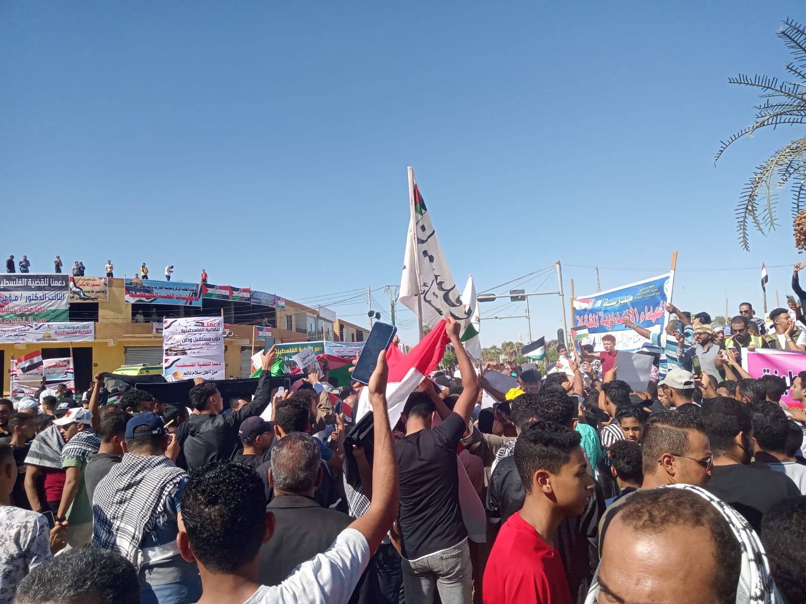 رفع اعلام فلسطين بالوادي الجديد