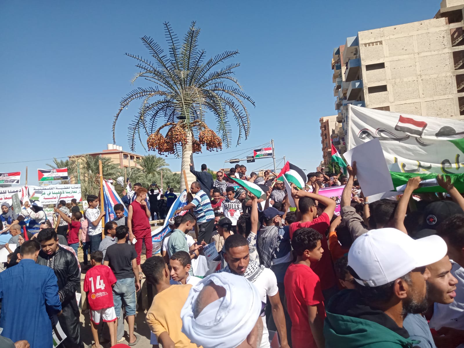 شباب الجامعة يشاركون في مظاهرة لدعم فلطسين بالوادي الجديد