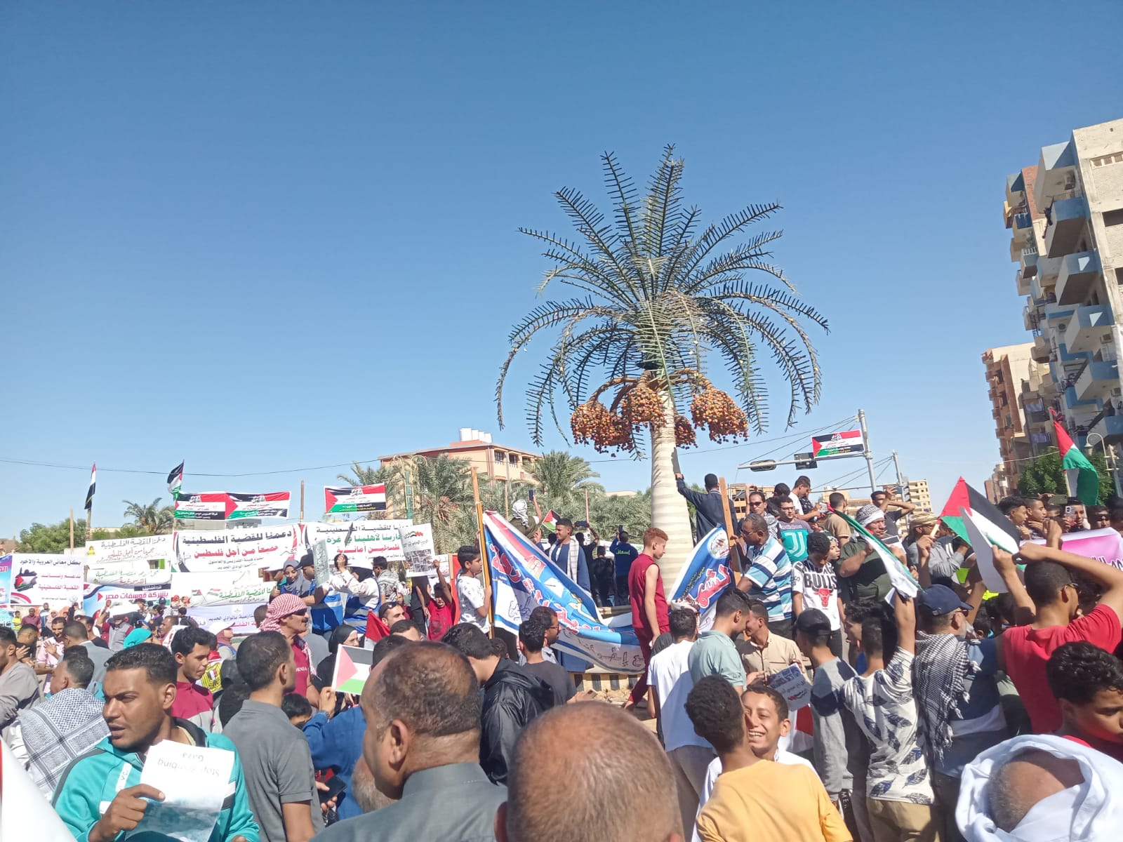 مظاهرة حاشدة لدعم فلسطين بميدان الساحة بالخارجة