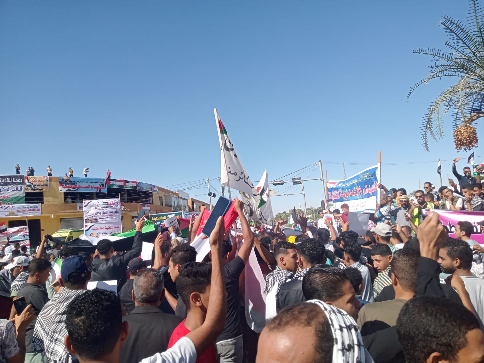 وقفات احتجاجية بالوادي الجديد