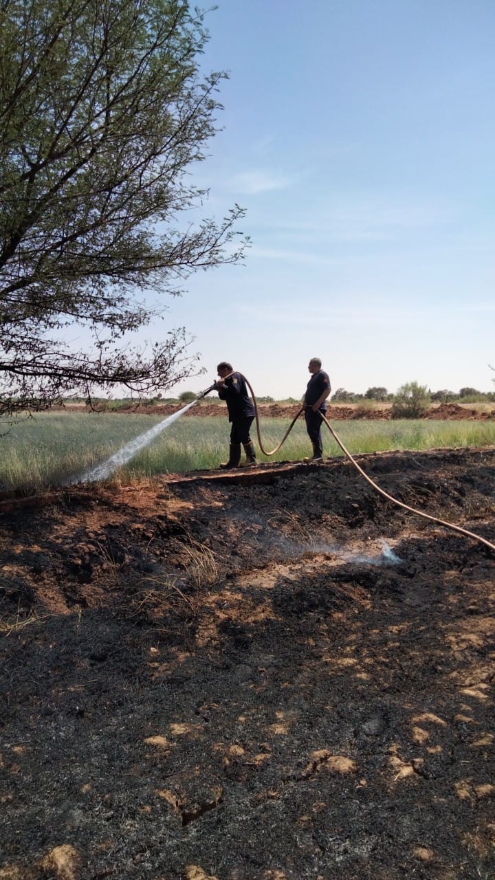 الحماية المدنية تخمد حريقا بمزرعة في بدخلو بالوادي الجديد (1)