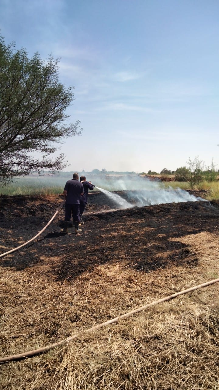 الحماية المدنية تخمد حريقا بمزرعة في بدخلو بالوادي الجديد (2)