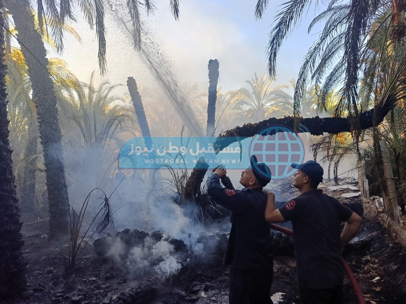 نشوب حريق بمزرعة نخيل واخماد آخر في الوادي الجديد  (1)