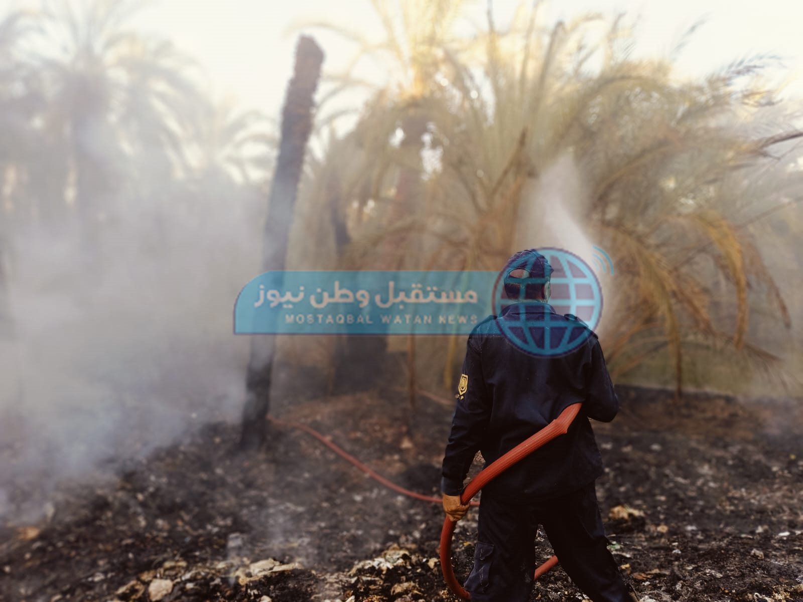 نشوب حريق بمزرعة نخيل واخماد آخر في الوادي الجديد  (4)