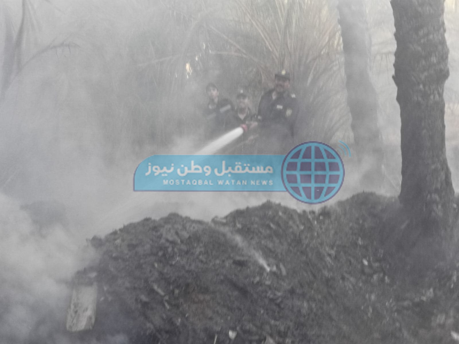 نشوب حريق بمزرعة نخيل واخماد آخر في الوادي الجديد  (5)