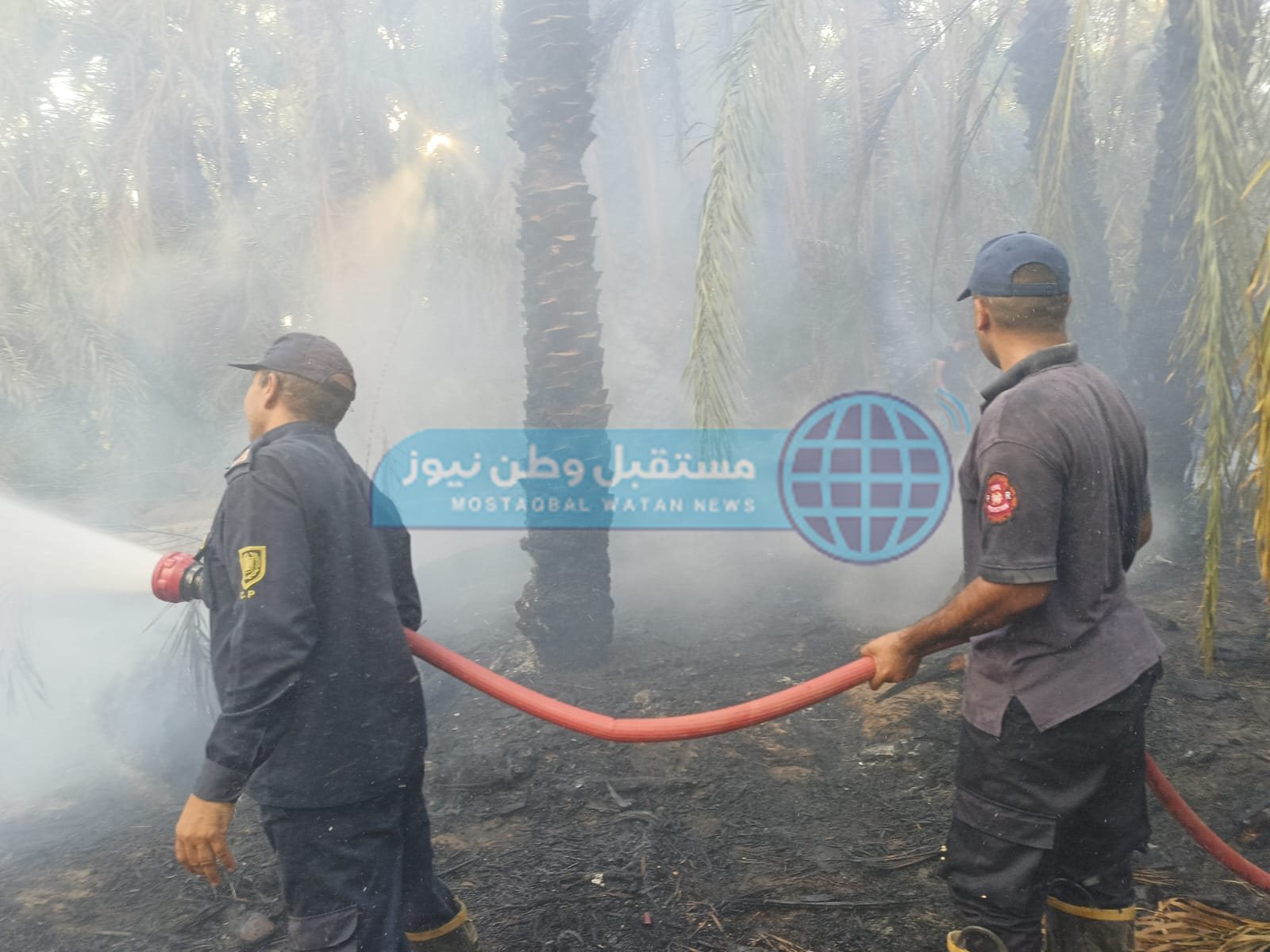 نشوب حريق بمزرعة نخيل واخماد آخر في الوادي الجديد  (6)