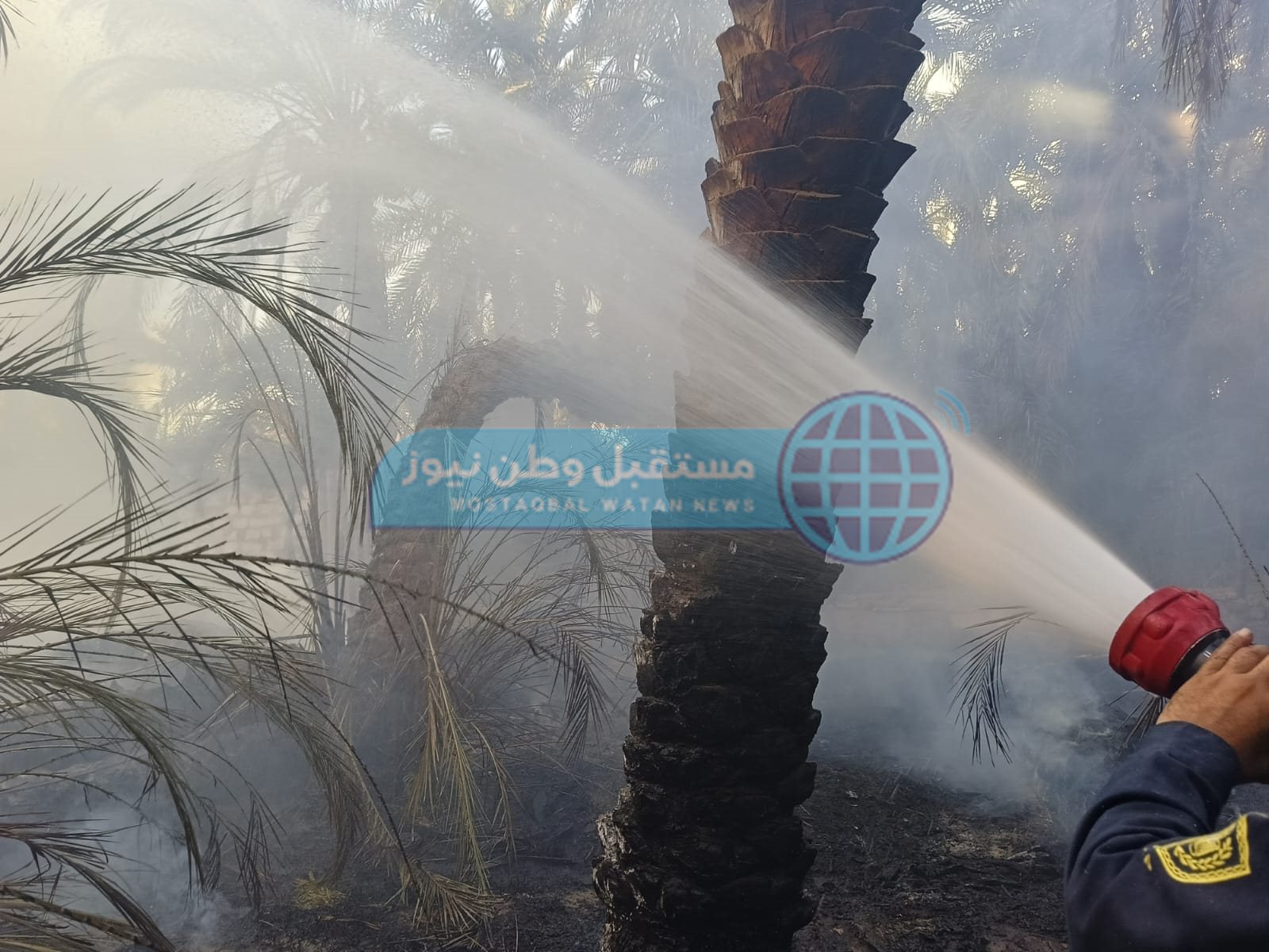 نشوب حريق بمزرعة نخيل واخماد آخر في الوادي الجديد  (7)