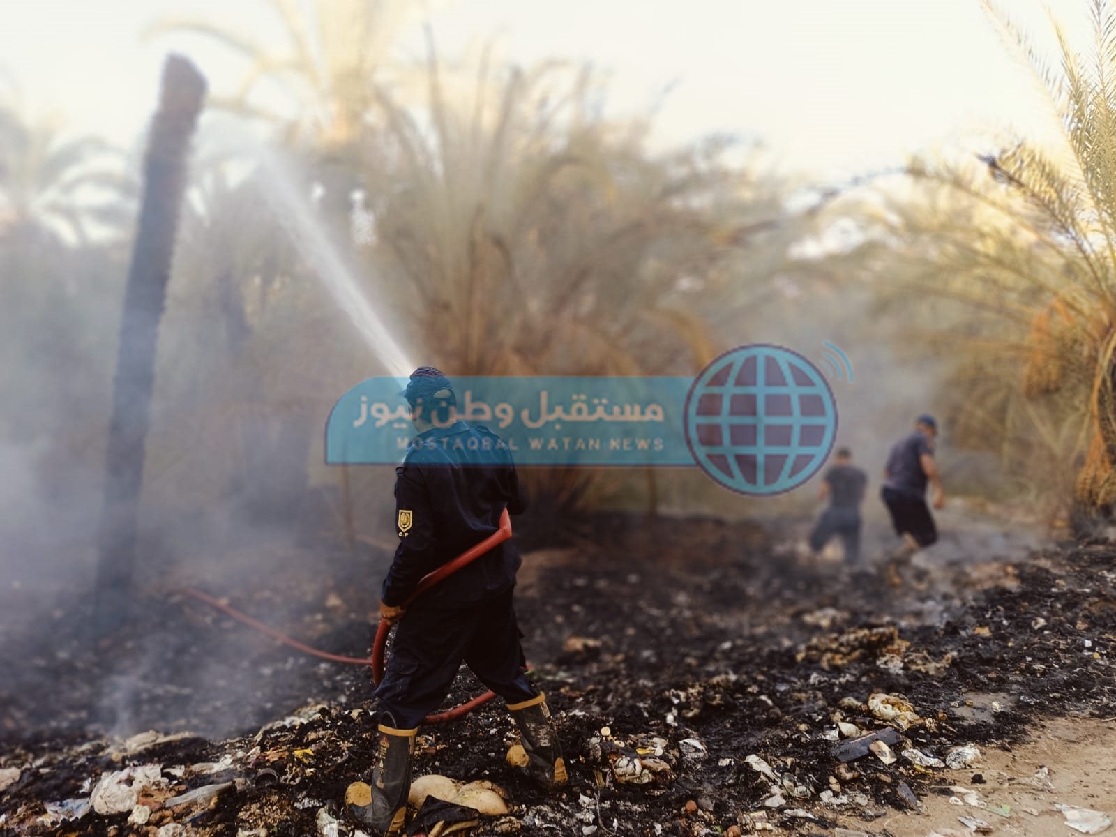 نشوب حريق بمزرعة نخيل واخماد آخر في الوادي الجديد  (8)