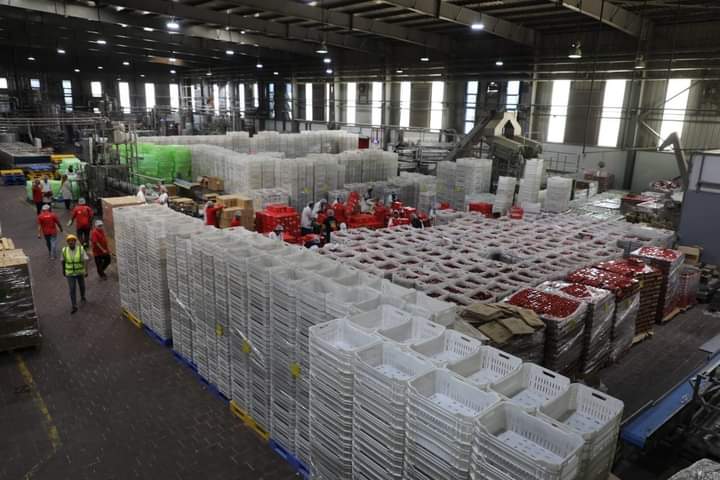 FB_IMG_1721325137673