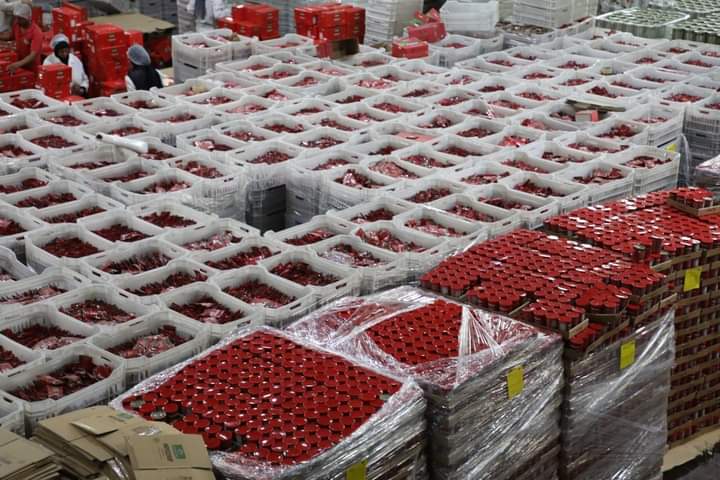 FB_IMG_1721325135930