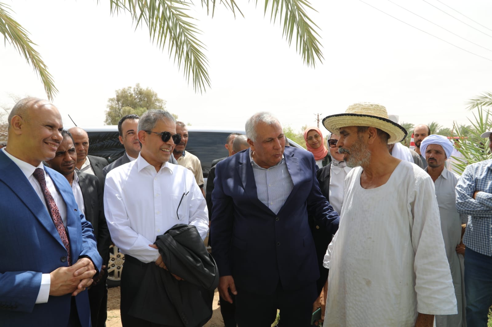 تجربة مكافحة سوسة النخيل بالوادي الجديد (2)