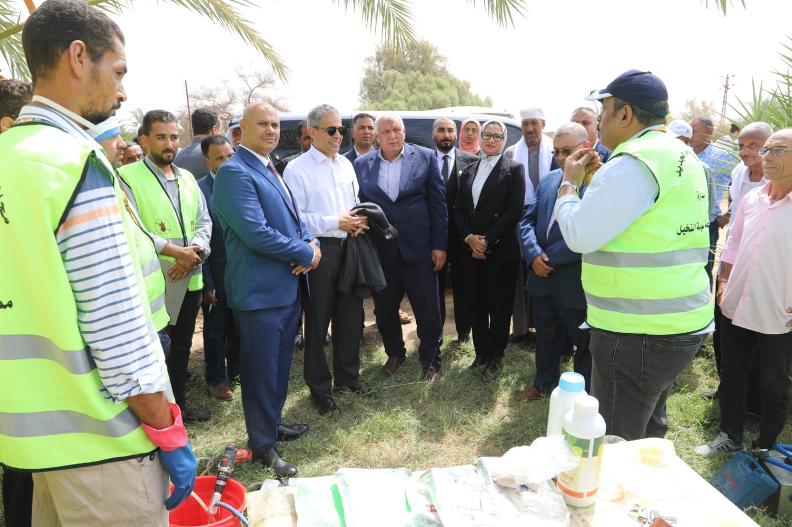 تجربة مكافحة سوسة النخيل بالوادي الجديد (6)