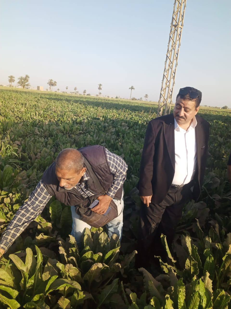 d9fa8815-915c-4f5e-825a-675725256fc0