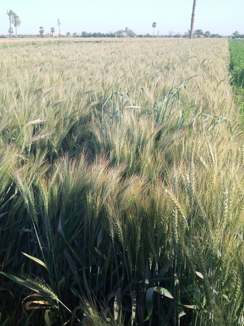 91e334d4-4587-4b0d-ace7-2817ab5d44e8