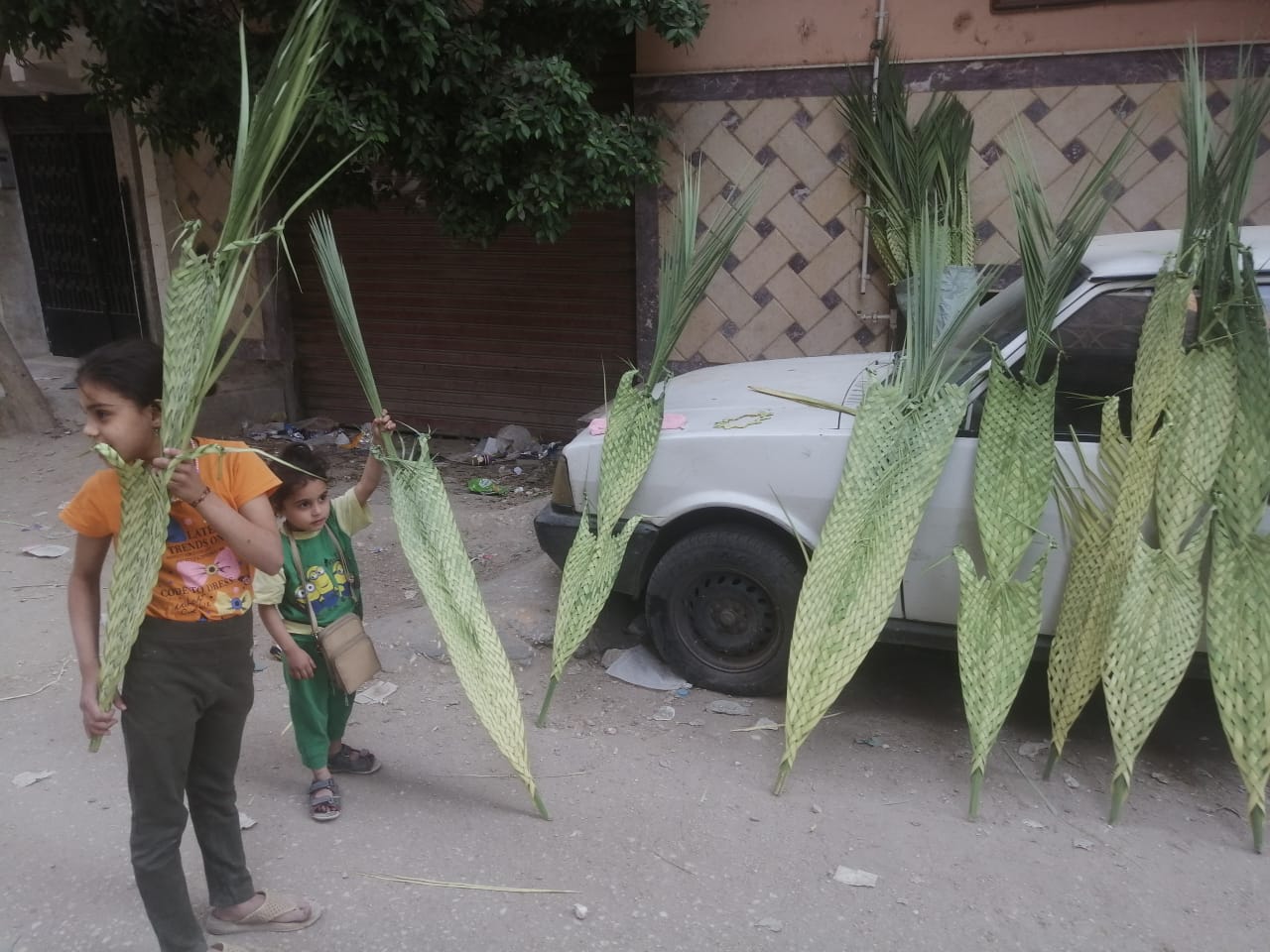 6bc6c8b9-0318-4f61-a052-23489fadb12e