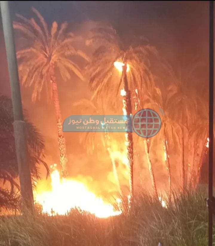 50638ae5-6f4c-4fc3-92f6-b7102cba8079