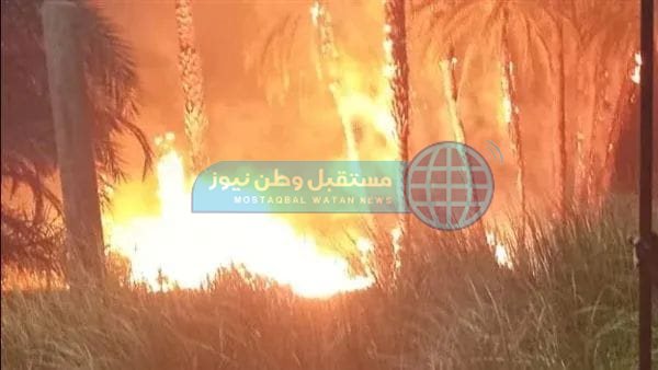 51a6081d-000e-4d67-9c6d-e77af39e3b46