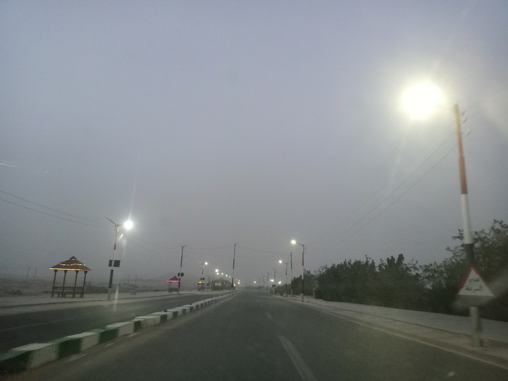 عواصف ترابية بالوادي الجديد (11)