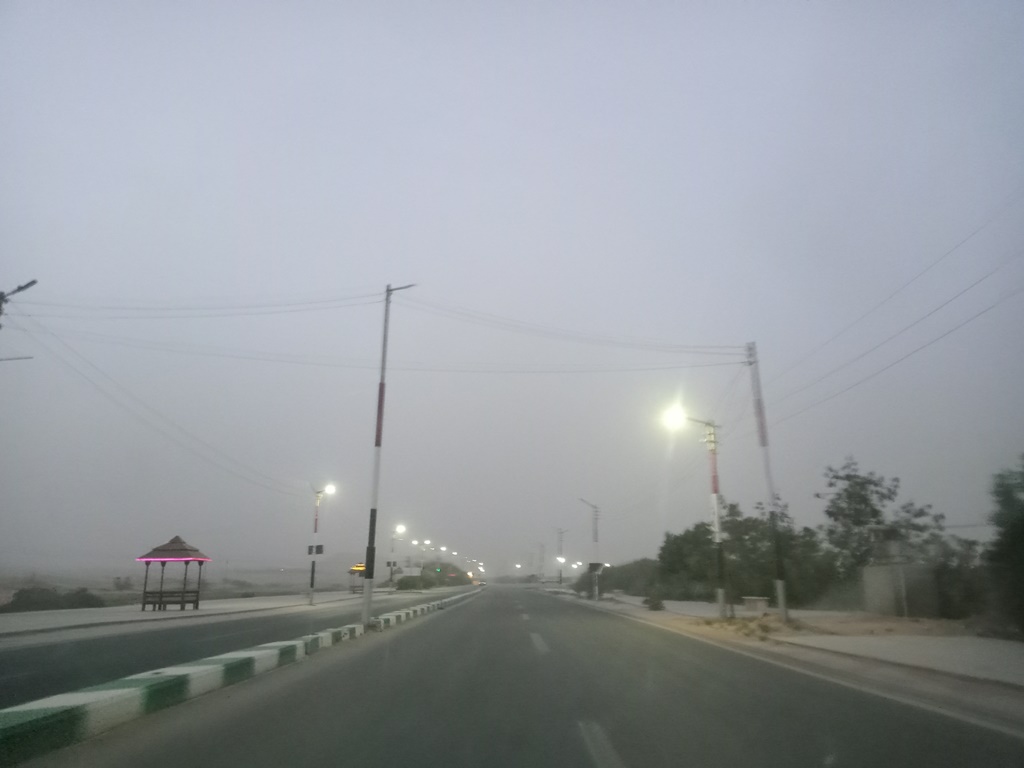 عواصف ترابية بالوادي الجديد (15)